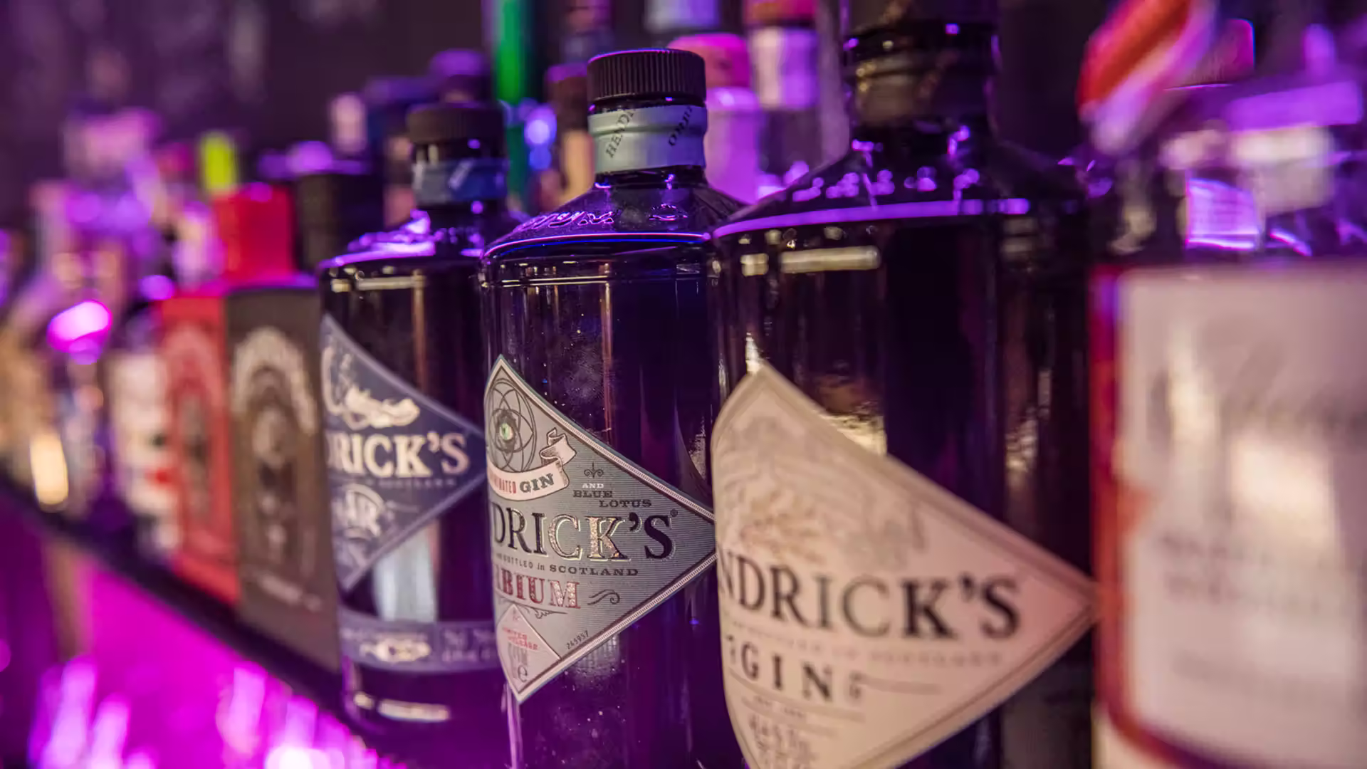 Bar55 Gin-Sortiment Hotel Firefly Zermatt Switzerland